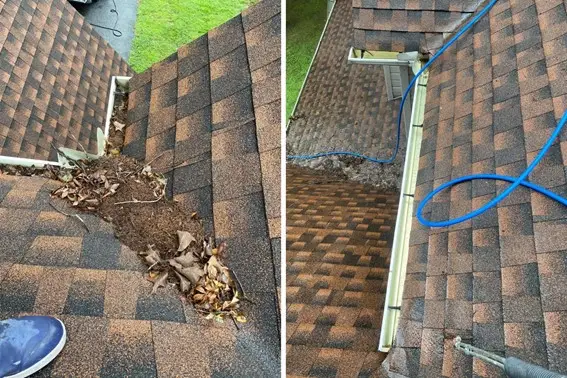 Gutter Cleaning in Lewes, DE